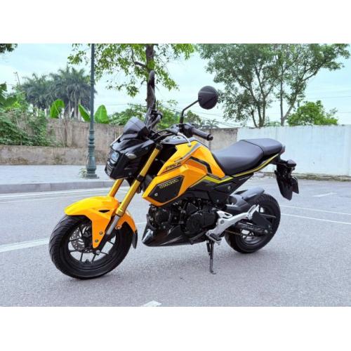 Bán xe Honda Msx 125cc 2019 giá 3x triệu Bán xe Honda Msx 125cc 2019 giá 3x triệu